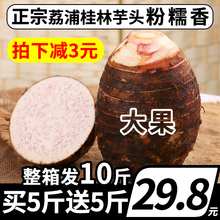 包邮 10斤新鲜芋头荔浦正宗广西农家香芋大粉槟榔紫藤整箱毛芋年货