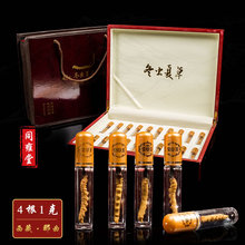不打烊【5克装礼盒】西藏野生冬虫夏草正品冬虫草礼盒4条/克g20根
