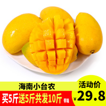 包邮 新鲜当季现摘热带水果青芒批发 海南小台农芒果10斤带箱
