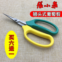 张小泉剪葡萄专用剪刀翘头修果剪修葡萄枝叶剪刀不锈钢家用FL