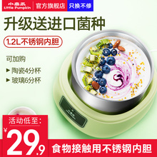 小南瓜酸奶机家用全自动小型自制多功能迷你分杯宿舍酸奶发酵机