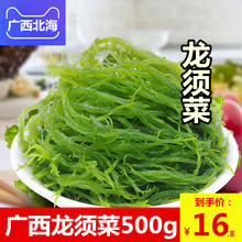 广西北海龙须菜500g 海味特产水产海鲜石花菜野生海藻海带鹿角菜