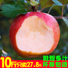 苹果水果新鲜现摘现发10斤冰糖心孕妇当季应季脆甜多汁小丑红富士