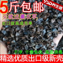 荞麦皮 荞麦枕头 枕芯 散装 纯荞麦皮枕头 特级消毒荞麦壳 乔麦壳