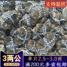 大闸蟹鲜活现货单只2.5 价格 3.0两大螃蟹河蟹毛蟹一只 3两公