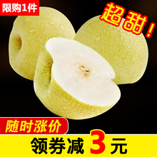 新鲜当季整箱5斤批发皇冠梨翠玉梨砀山梨青梨翠冠梨 包邮 梨子水果