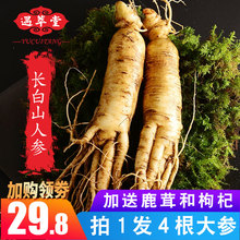 【29元4根大参】人参 野山参 长白山 东北人参人身新鲜山参 人叁