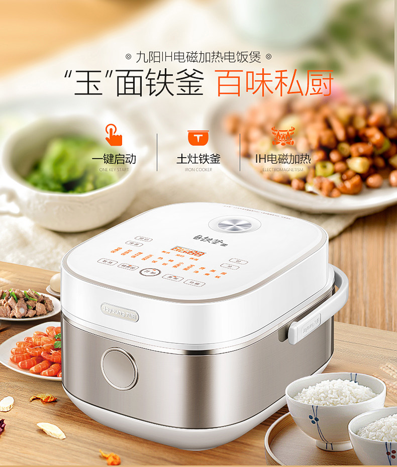 ������ż��ȵ緹��F-40T8