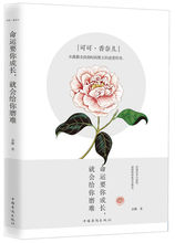 朵雅 就会给你磨难 可可 中国华侨出版社 香奈儿命运要你成长 正版RT