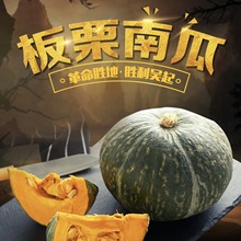 包邮 迷你小南瓜老面新鲜果蔬 吴起陕西板栗南瓜非贝贝南瓜5斤