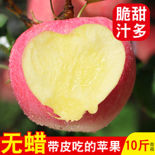 冰糖心批发陕西 秦冠新鲜当季一箱带箱丑吃 包邮 苹果水果整箱10斤