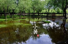 动漫风景图片热销0.01 4K高清高质量静态电脑桌面壁纸二次元 一元
