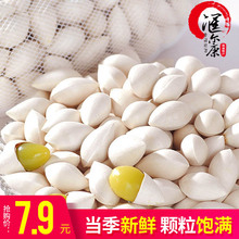 包邮 新鲜白果干货生银杏果仁带壳百果鲜生徐州特产送食谱 白果银杏