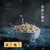 云南小薏米 纳西田野 糯薏米仁薏仁米可打粉农家五谷杂粮新货500g