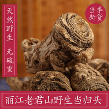 云南特产级天然当归补无熏硫 丽江野生当归 包邮 当归头250克非