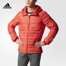 男子 户外羽绒茄克 户外 阿迪达斯官方adidas BQ8562