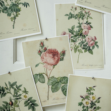 【CHIC ROSE】shabby chic做旧风格画芯 玫瑰装饰画 无框画芯专拍
