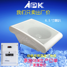 厂家出厂价直销经典APK艾派克壁挂喇叭挂壁音箱广播音响 教室音箱