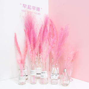 ins粉色孔雀羽毛麦穗拍照道具