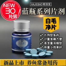 白毛净片剂30片装 专治白毛病水霉病皮肤腐烂 洁宝小蓝瓶观赏鱼药