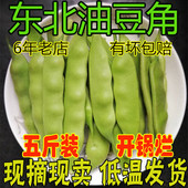 东北黑龙江农家新鲜现摘开锅烂排骨炖面小油豆角 包邮 空运5斤