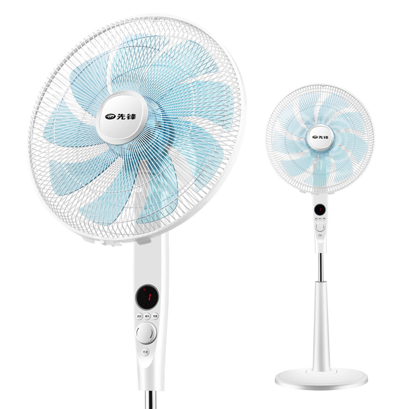 �ȷ�����d5�����