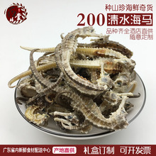 清水海马干泡药酒材料海马干货5对10条三斑海马非刺马滋补品包邮