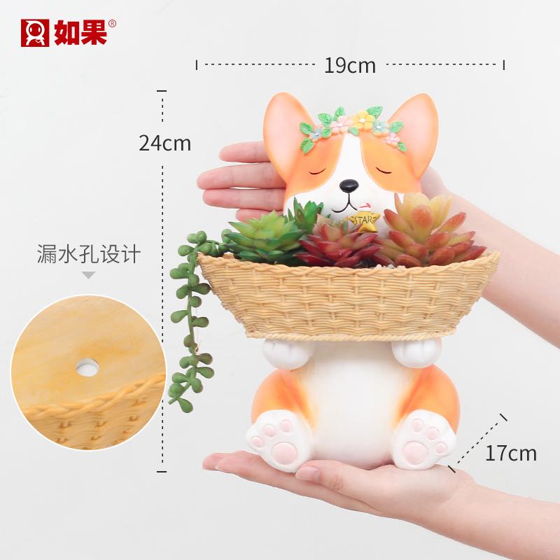 ���Կ�׺аڼ�R9A4E0