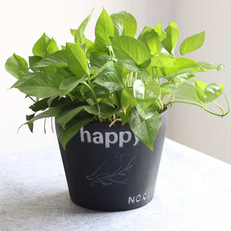 ���΢�������԰ڼ�R7A5J0