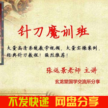 张远景魔训班322.77G针刀针灸小针刀视频教程中医视频教程中医
