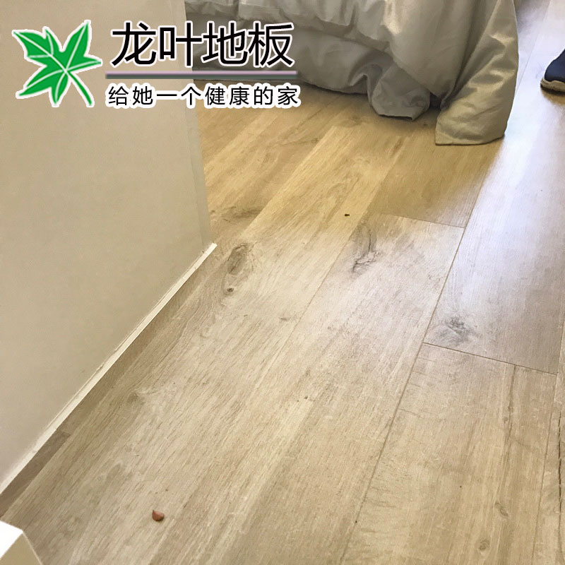 ��Ҷ��ʽ��ŷ�ذ�F1