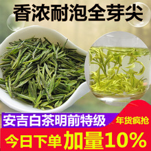 2018新茶叶正宗安吉白茶明前特级250g珍稀绿茶春茶原产地散装 礼盒