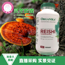 灵芝精华胶囊 保健养生之精品360粒 加拿大直邮ORGANIKA