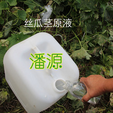 潘源天然丝瓜原液丝瓜水农家自种孕妇可用丝瓜伤流液2.5公斤