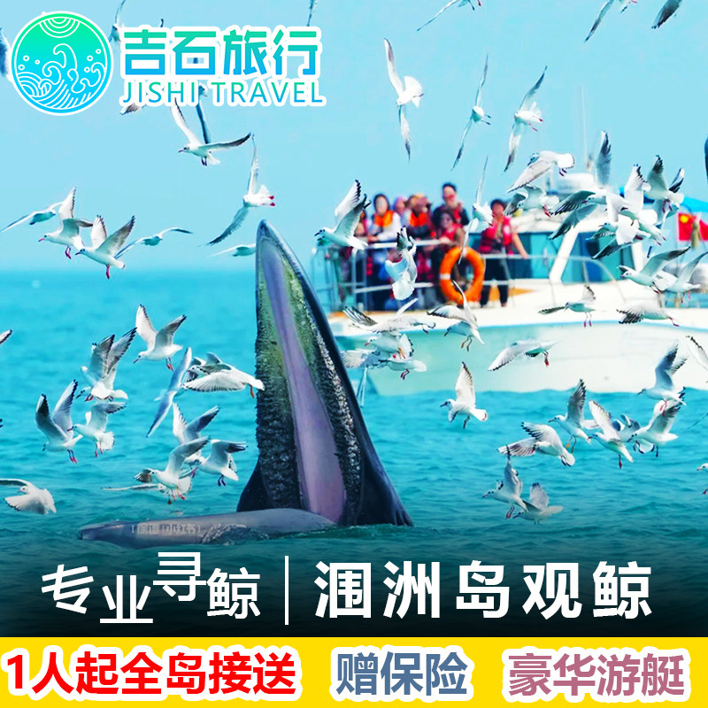 【北海涠洲岛观鲸】游艇出海看鲸鱼追布氏鲸鱼落日纯玩一日游旅游