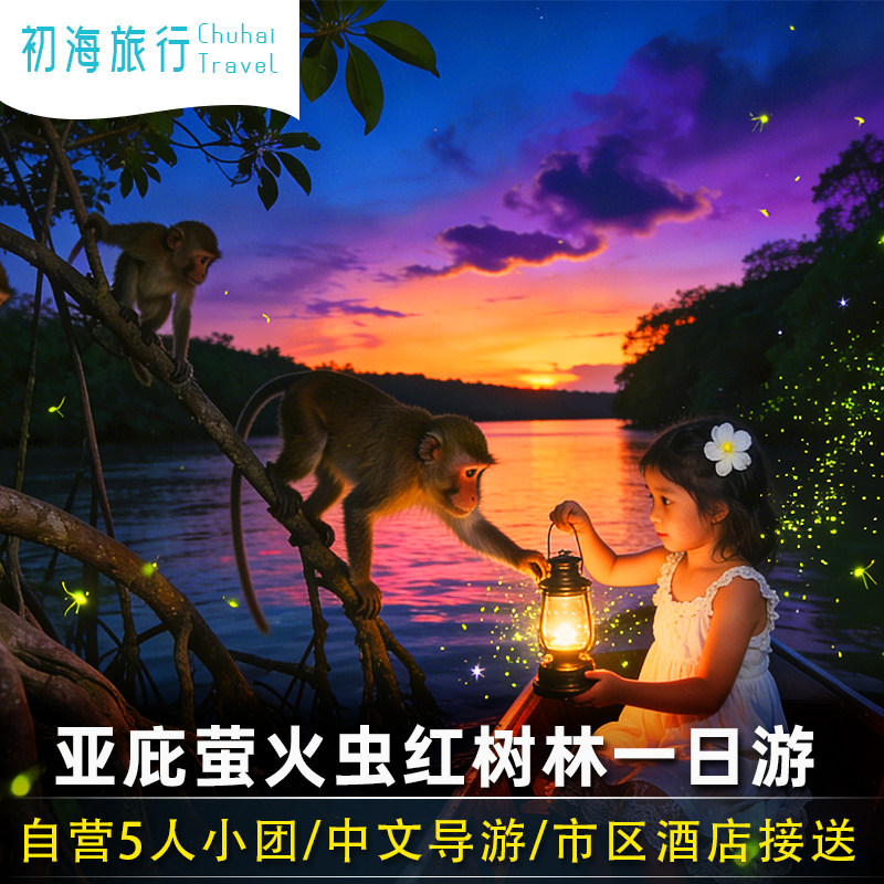 初海旅行 亚庇红树林一日游kawa天镜weston萤火虫马来西亚旅游