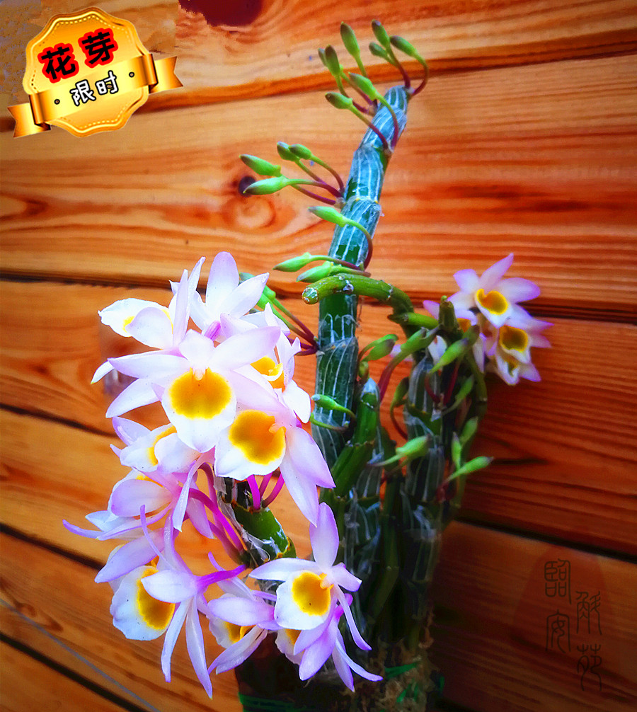 大石桥市信用卡申请条件年龄限制【加●V信Q