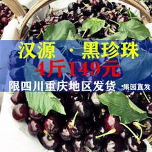 四川汉源大樱桃车厘子套袋黑珍珠新鲜水果非山东烟台美早4斤大果