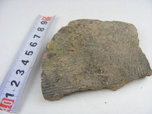 新石器红山文化期陶器红陶压印灰陶瓷片高古科普收藏标本遗址保6