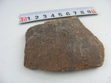 新石器红山文化期陶器红陶压印灰陶瓷片高古科普收藏标本遗址保8
