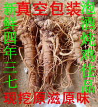 云南文山新鲜三七包邮四年潮湿活鲜三七根须生田七粉泡酒煲汤野生