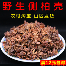 沂蒙山野生侧柏壳 5斤 黑发枕头散装枕芯白发少白头柏树壳柏子壳