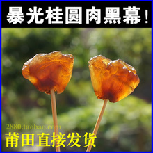 包邮 肉500g克2斤特产 福建莆田农家老树桂圆肉无核龙眼肉不熏硫元