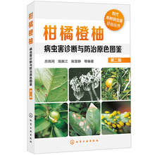 病虫害防治安全用药指导 砂糖橘橙子芦柑柚子树澳洲赣南脐橙果树栽培种植技术大全书籍 第二版 柑橘橙柚病虫害诊断与防治原色图鉴