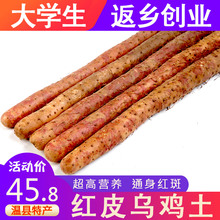 焦作温县乌鸡土红皮铁棍山药新鲜河南怀山药5斤正宗淮山约山荮