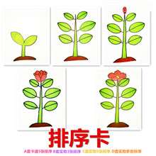 新款排序卡片3张5张多张排序发育迟缓儿童逻辑推理认知训练卡包邮