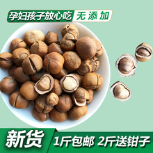 包邮 东北特产榛子500g铁岭原味无糖坚果炒熟手拍野生开口小榛子