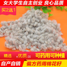新疆高产长绒棉棉花籽食用棉花种子棉子药用引子带毛带壳棉籽天然