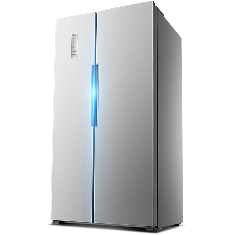 ����˫���ű���BCD-452WK