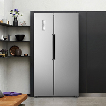 ����˫���ű���BCD-452WK